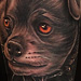 Dog Tattoo